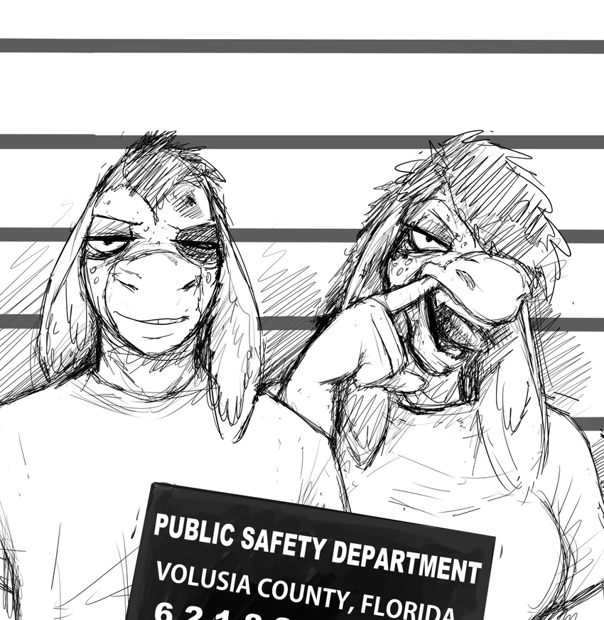 anthro black_eye breasts brother brother_and_sister donk donk_sis donkey duo english_text equine female hair hladilnik long_ears male mammal mugshot open_mouth sibling sister text tongue tongue_out