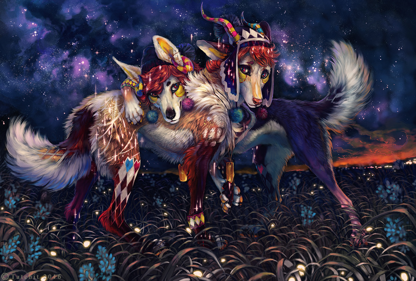 2016 ambiguous_gender black_nose brown_fur canine detailed_background dog feral fur grass mammal night outside paws purple_fur sky solo star starry_sky tatchit