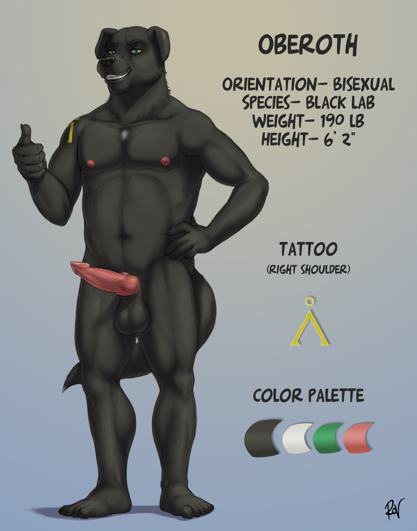 2016 5_fingers 5_toes abs anatomically_correct anatomically_correct_penis animal_genitalia animal_penis anthro balls barefoot biceps biped black_balls black_fur black_nose black_tail canine canine_penis character_name color_swatch digital_media_(artwork) dog eyebrows feet floppy_ears front_view fur gradient_background green_eyes grin hand_on_hip hi_res knot labrador looking_at_viewer male mammal model_sheet muscular muscular_male nipples nude oberoth pecs penis pink_nipples pink_penis plantigrade rov signature simple_background smile snout solo standing tattoo teeth thumbs_up toes