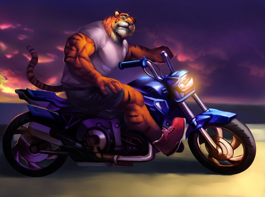 2017 anthro biceps big_muscles black_fur black_stripes black_tail clothed clothing cloud digital_media_(artwork) echin feline footwear full-length_portrait fully_clothed fur looking_at_viewer male mammal mike_the_tiger motorcycle multicolored_fur multicolored_tail muscular muscular_male orange_fur orange_tail outside pink_nose portrait red_footwear red_shoes shirt shoes shorts side_view sky solo striped_fur striped_tail stripes t-shirt tiger vehicle whiskers white_clothing white_fur white_shirt white_tail white_topwear