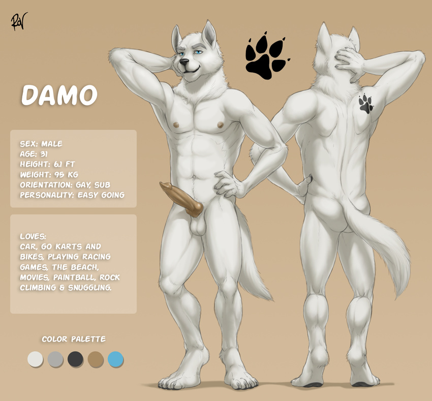 2017 4_toes 5_fingers abs anatomically_correct anatomically_correct_penis animal_genitalia animal_penis anthro balls barefoot biceps biped black_nose blue_eyes canine canine_penis claws color_swatch damo digital_media_(artwork) digitigrade english_text erection fluffy fluffy_tail front_view fur grey_claws hand_behind_head hand_on_hip hi_res knot looking_at_viewer male mammal model_sheet multiple_angles muscular muscular_male navel nipples nude pawprint pecs penis pink_nipples pink_penis rear_view rov signature simple_background smile snout solo standing tan_background tattoo text toe_claws toes white_balls white_fur white_tail wolf