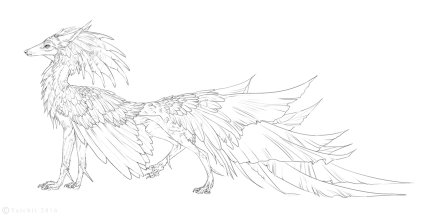 ambiguous_gender feathers feral hybrid sketch solo standing tatchit