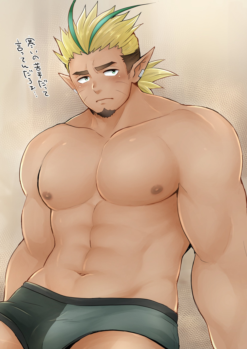 1boy abs absurdres antenna_hair bara blonde_hair boxer_briefs brown_hair collarbone crave_saga dark-skinned_male dark_skin earclip facial_hair facial_mark goatee green_eyes green_hair green_male_underwear higemaccho highres looking_at_viewer male_focus male_underwear multicolored_hair muscular muscular_male nipples pectorals pointy_ears ponytail russell_(crave_saga) simple_background solo topless_male translation_request underwear underwear_only whisker_markings