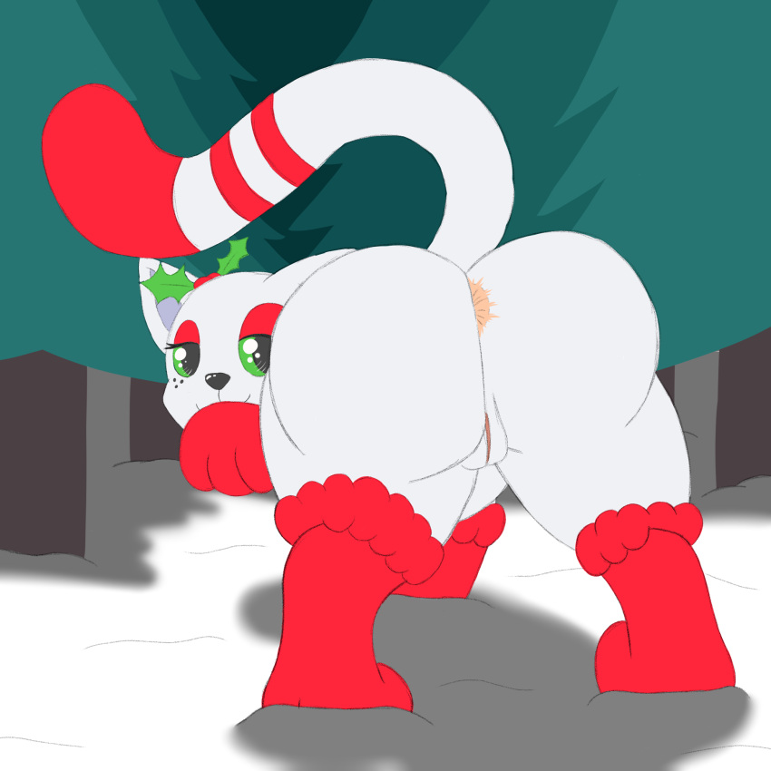 1:1 anus butt christmas christmas_tree clothing domestic_cat felid feline felis female feral foxkai fur genitals green_sclera hi_res holidays holly_(plant) junipurr legwear mammal plant presenting presenting_hindquarters pussy rear_view red_body red_fur snow solo stockings stripes tail tree white_body white_fur