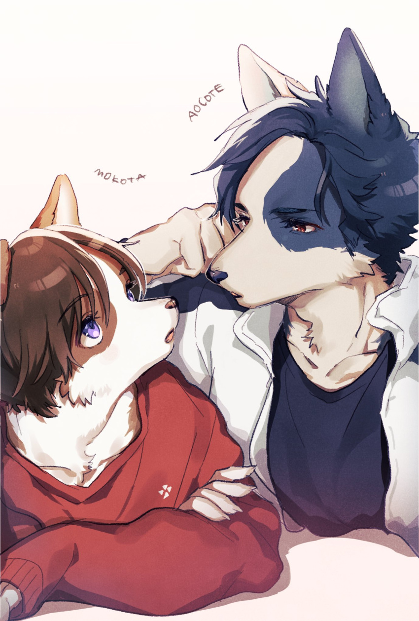 1boy 1girl animal_ears artist_name black_shirt blue_fur blue_hair body_fur brown_eyes brown_fur brown_hair claws clenched_hand collared_jacket commentary crossed_arms dog_boy dog_ears dog_girl furry furry_female gradient_background hand_on_own_cheek hand_on_own_face head_rest high_collar highres jacket looking_at_another lying mokotalow11 on_stomach original parted_lips pink_background purple_eyes red_sweater shirt short_hair sweater symbol-only_commentary upper_body white_background white_fur white_jacket