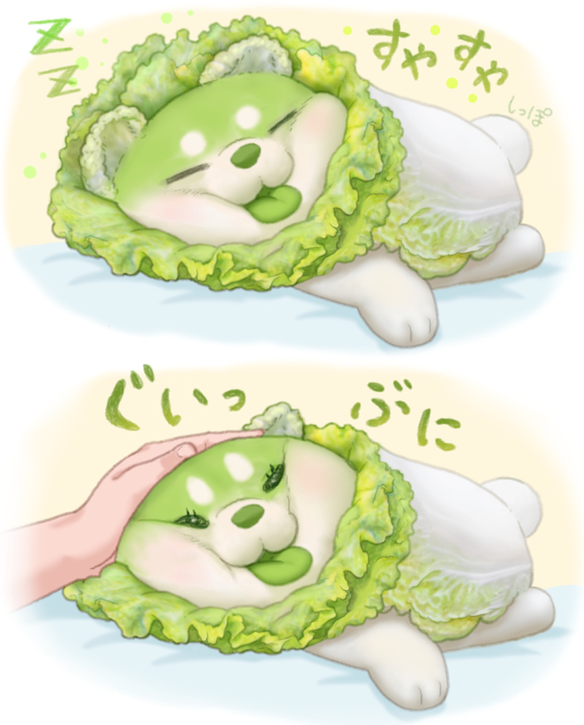 animal_focus closed_eyes colored_tongue dog green_theme green_tongue half-closed_eyes hand_on_another's_head highres lying multiple_views napa_cabbage on_side original out_of_frame oyasai_yousei_to_manabu_yasai_no_chishiki_zukan petting ponkichi_(ponkichim) pressing puppy sleeping tongue tongue_out zzz