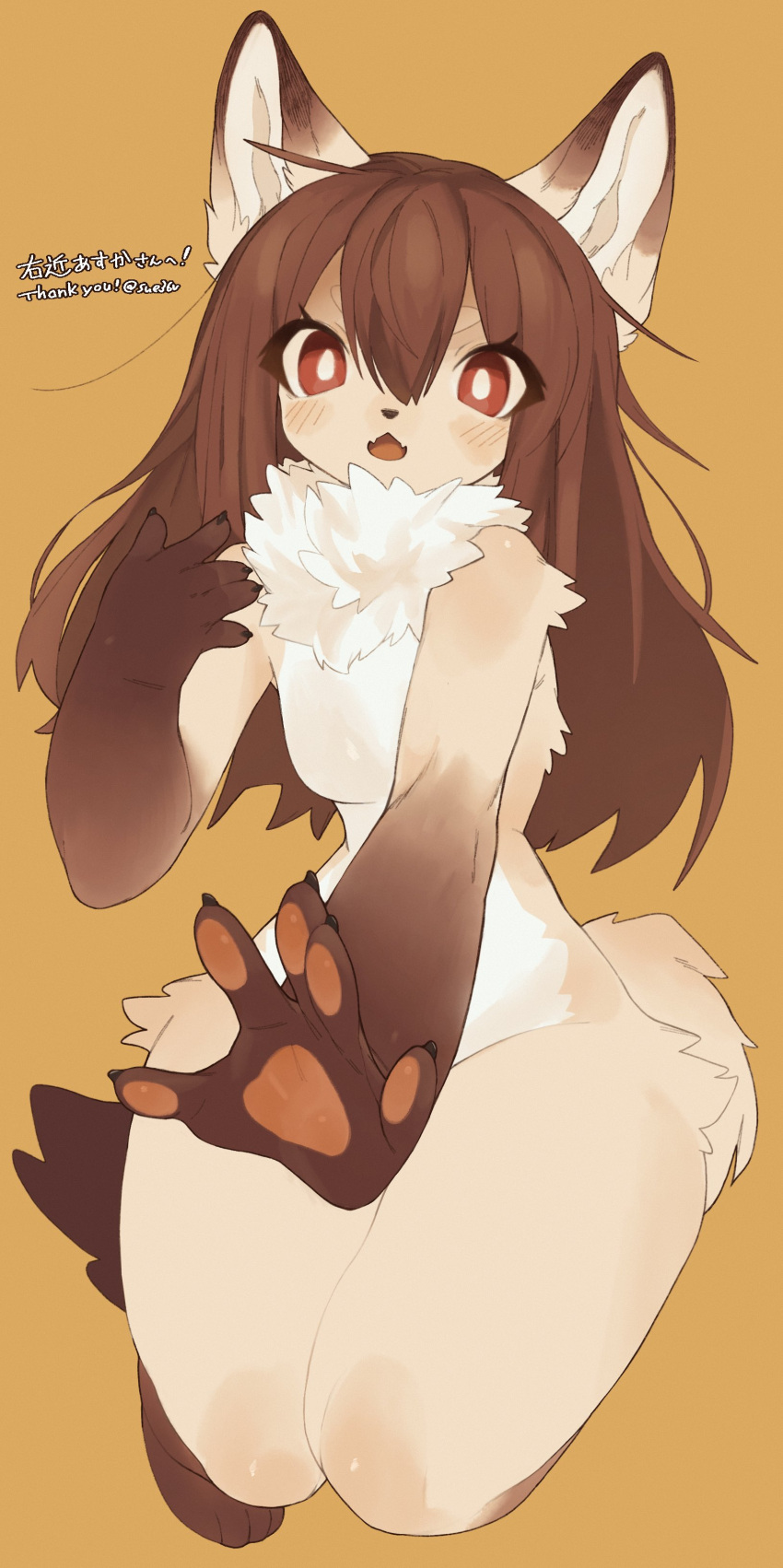 absurd_res anthro artist_name big_forearms blush body_blush breasts brown_hair canid canine claws countershading cute_fangs dipstick_ears eyelashes featureless_breasts female fluffy forearms fox fur hair hi_res hip_tuft kemono kneeling leg_markings looking_at_viewer mammal markings multicolored_ears neck_tuft nude open_mouth pawpads reaching_towards_viewer red_eyes shoulder_tuft simple_background small_breasts small_waist socks_(marking) solo sue36v surprised_expression tan_body tan_fur text thick_thighs tuft white_body white_fur wide_hips