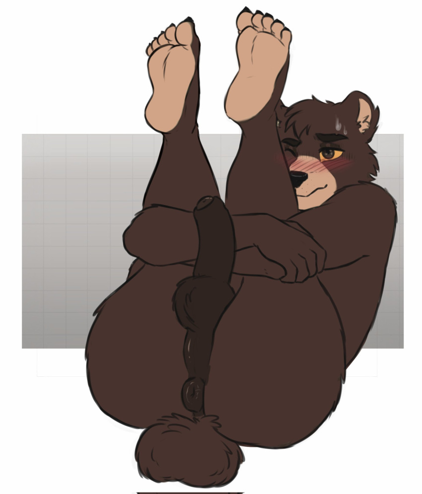 anthro anus bear blush blush_lines bodily_fluids butt feet foreskin genitals hi_res legs_up male mammal penis presenting puffy_anus silly_monke01 solo solo_focus sweat tail