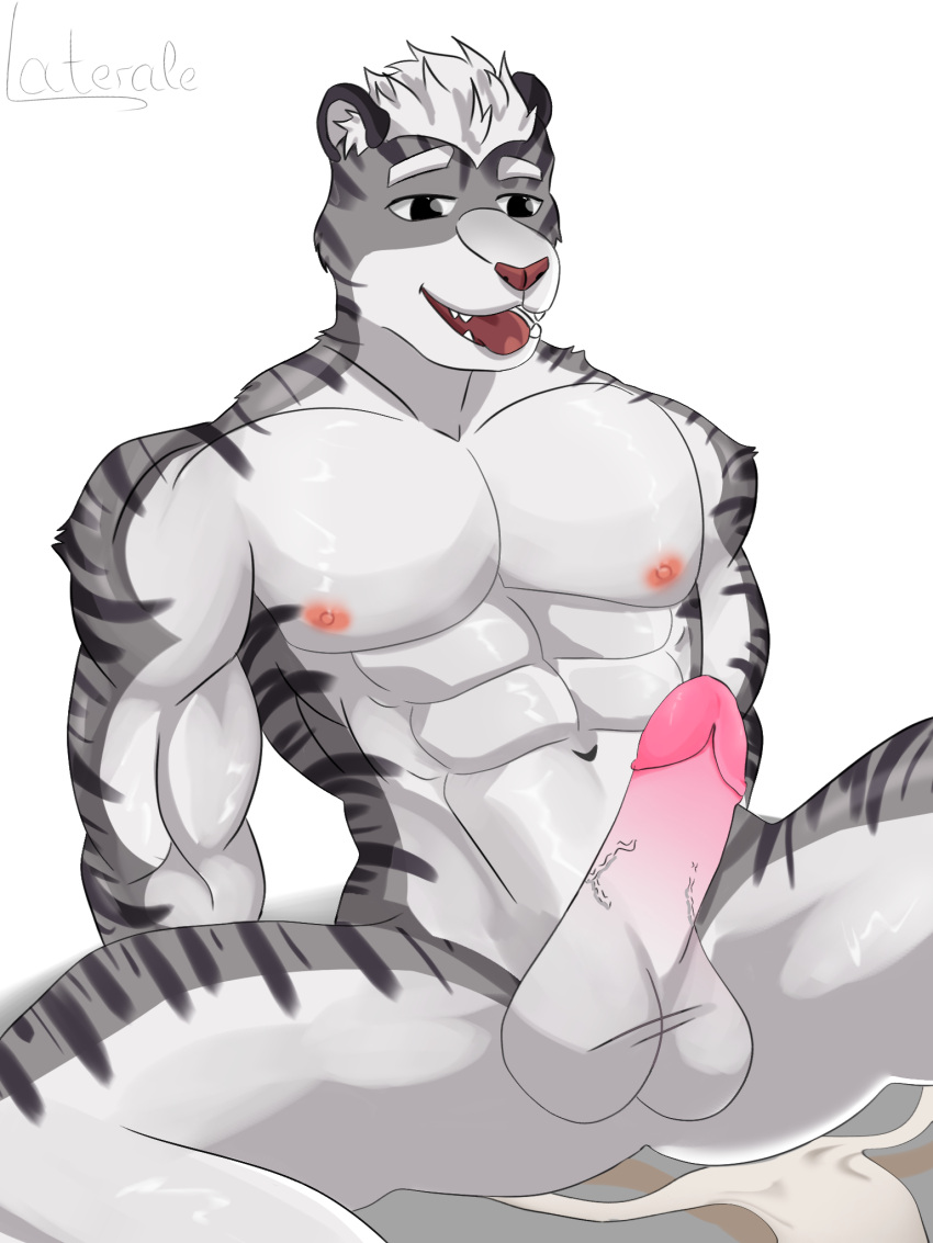 anthro clothed clothing felid genitals hi_res male male/male mammal multicolored_body pantherine partially_clothed penis solo tiger underwear underwear_down underwear_only