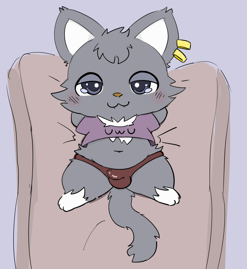 absurd_res anthro bed clothing dian_(jewelpet) domestic_cat drugolld ear_piercing ear_ring felid feline felis fur furniture grey_body grey_fur hi_res jewelpet looking_at_viewer male mammal piercing ring_piercing sanrio sega_fave solo underwear uwu