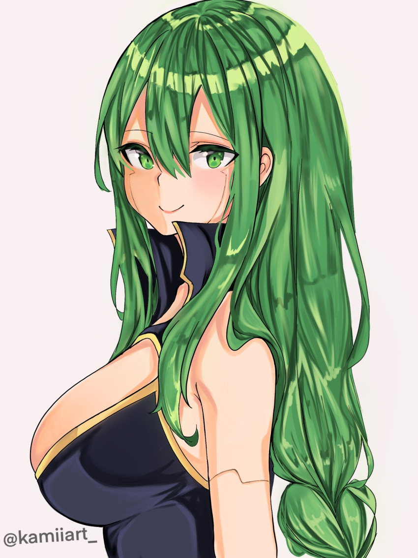 1girl artist_name blush braid braided_ponytail breasts cleavage cleavage_cutout closed_mouth clothing_cutout eden's_zero green_eyes grey_hair highres instagram_logo instagram_username kamiiart large_breasts long_braid long_hair looking_at_viewer low-braided_long_hair low-tied_long_hair smile twitter_logo twitter_username very_long_hair witch_regret