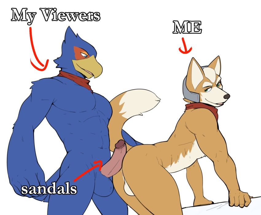 anthro avian balls bird blue_body blue_feathers canid canine canis doggystyle erection falco_lombardi feathers fox fox_mccloud from_behind_position fur genitals hi_res humanoid_genitalia humanoid_penis jrjresq male male/male mammal nintendo orange_body orange_fur penis penis_on_butt scarf sex star_fox text