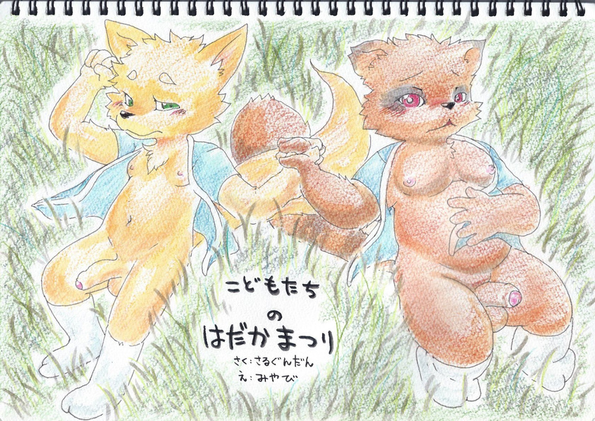 alucaje_(pixiv) balls canine clothed clothing cub fox hand_holding humanoid_penis japanese_text legwear male mammal nude partially_clothed penis slightly_chubby socks tanuki text young