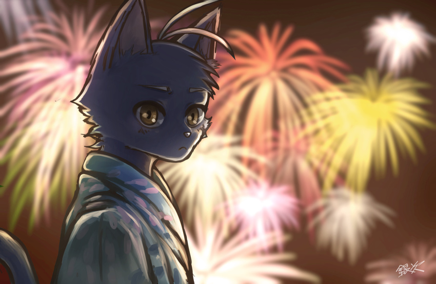 blush clothing feline festival fireworks invalid_tag japanese_clothing kimono looking_at_viewer male mammal morenatsu night shin_(morenatsu) yutaka