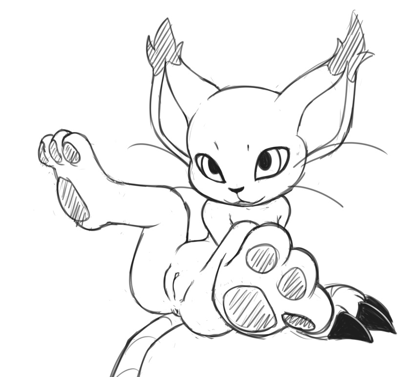 anthro anus barefoot clitoris clothing digimon feline female foot_focus gatomon gloves hindpaw legs_up looking_at_viewer mammal mostly_nude pawpads paws plantigrade pussy seductive solo spread_legs spreading vulapa whiskers