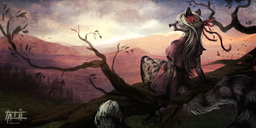 anthro clothed clothing day detailed_background female genet mammal outside sitting sky solo tatiilange viverrid