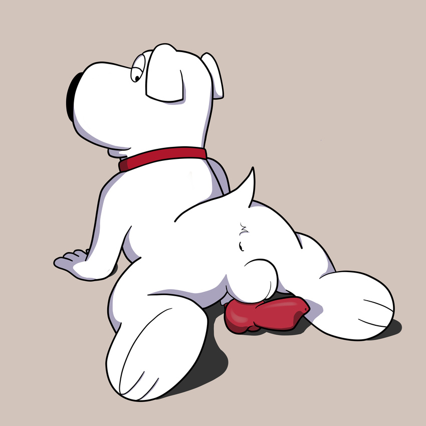 animal_genitalia animal_penis anthro anus balls brian_griffin canine canine_penis dog family_guy knot magzol male mammal penis solo