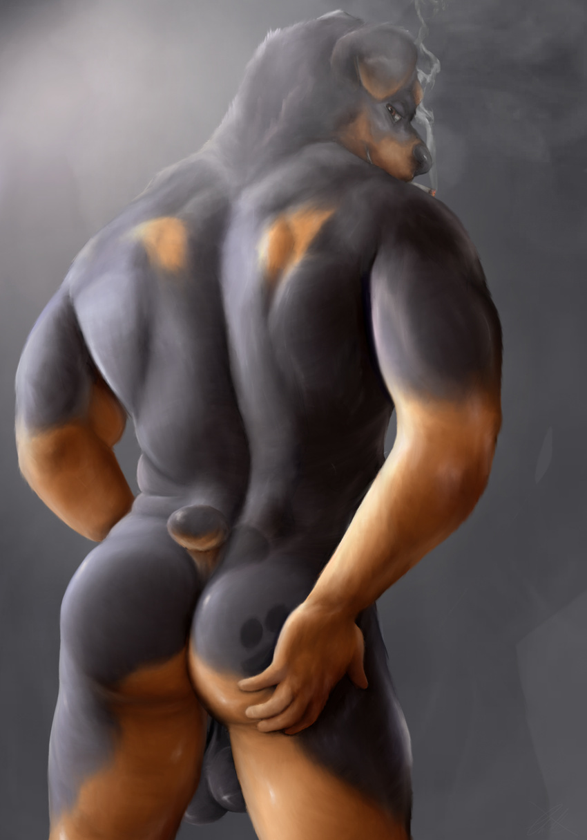 2017 5_fingers anthro balls biped black_balls black_fur black_nose black_tail brown_eyes brown_fur brown_tail butt butt_markings canine cigarette digital_media_(artwork) dog floppy_ears fur grey_background hand_on_butt hi_res humanoid_hands killianwalker looking_at_viewer looking_back male mammal markings multicolored_fur multicolored_tail nude pawprint pinup portrait pose rear_view rennin rottweiler saggy_balls short_tail simple_background small_tail smoke smoking snout solo standing three-quarter_portrait two_tone_fur two_tone_tail