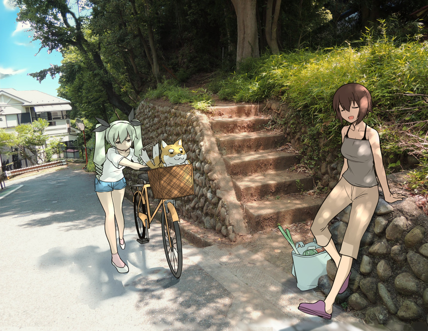 absurdres anchovy arm_support bag bangs bicycle bicycle_basket black_ribbon blue_shorts brown_eyes brown_hair brown_pants camisole capri_pants casual commentary day dog drill_hair flats girls_und_panzer green_hair grey_shirt ground_vehicle hair_ribbon half-closed_eyes highres hoshikawa_(hoshikawa_gusuku) in_basket leaning_back long_hair multiple_girls nishizumi_maho open_mouth outdoors pants photo_background purple_footwear pushing red_eyes ribbon shirt shoes shopping_bag short_hair short_shorts short_sleeves shorts sitting smile socks spring_onion standing t-shirt tail_wagging tired twin_drills twintails walking_bike white_footwear white_legwear white_shirt