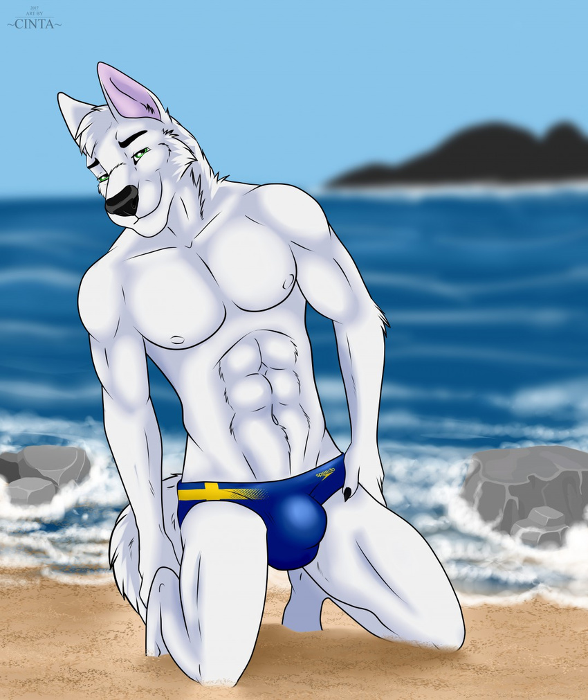 2017 5_fingers abs anthro arctic_wolf athletic beach black_nose blurred_background bulge canine cinta clothing day eyebrows fur green_eyes hair kneeling looking_at_viewer male mammal muscular muscular_male pose rock sand sea seaside sky smile solo swimsuit tight_underwear underwear water white_fur white_hair wolf