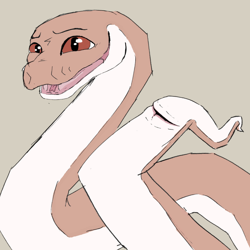 absurd_res accurate_to_species_teeth andromorph animal_genitalia ball_python cloaca feral fisk_(ravenfangs) genitals hi_res intersex looking_at_viewer male multicolored_body presenting presenting_cloaca presenting_vulva python ravenfangs reptile scalie smile smiling_at_viewer snake solo two_tone_body vulva