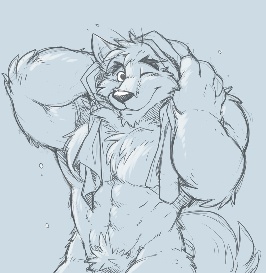 2015 abs anthro biceps big_muscles black_nose canine chest_tuft crotch_tuft fluffy front_view fur hi_res looking_at_viewer male mammal mr._wolf_(takemoto_arashi) muscular muscular_male nude one_eye_closed pecs simple_background sketch smile solo standing takemoto_arashi towel tuft wink wolf