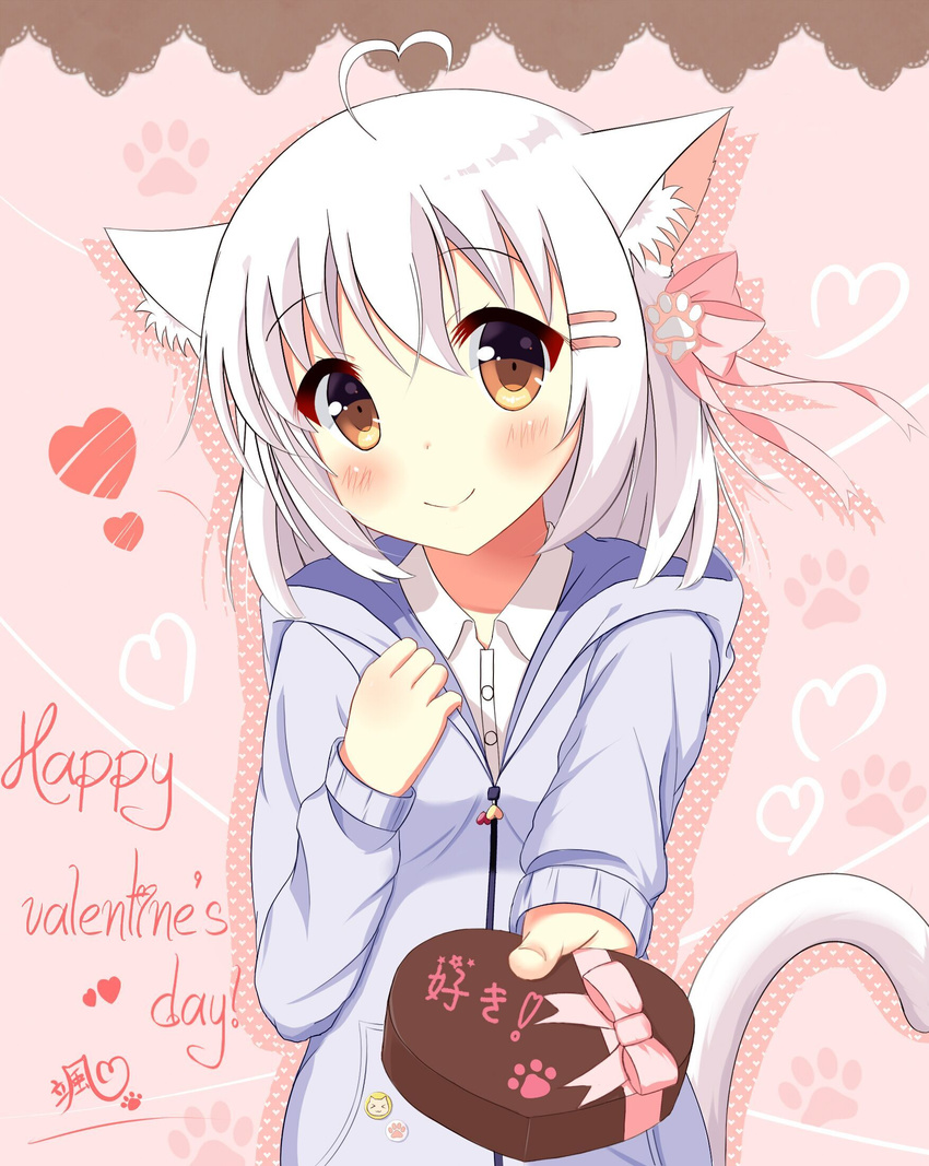 ahoge animal_ears bangs blush bow box brown_eyes cat_ears cat_girl cat_tail chinese chinese_commentary closed_mouth collared_shirt commentary_request eyebrows_visible_through_hair gift gift_box hair_between_eyes hair_bow hair_ornament hairclip happy_valentine head_tilt heart heart-shaped_box heart_ahoge highres hood hood_down hoodie lace_border long_hair looking_at_viewer original paw_hair_ornament paw_print pink_background pink_bow pink_ribbon purple_hoodie ribbon shirt signature smile solo star tail translation_request valentine white_hair white_shirt xiaosamiao