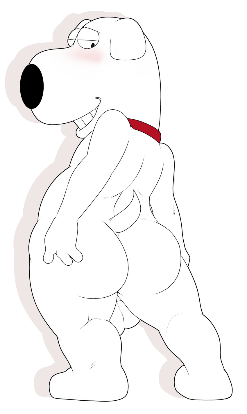 backsack balls blush brian_griffin butt canine collar dog family_guy jerseydevil looking_back male mammal penis solo