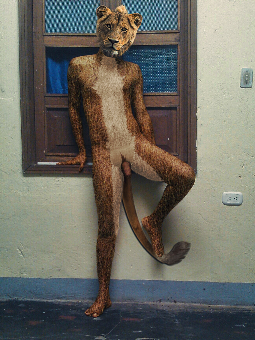 edit feline humanoid lion male mammal nude penis photo_manipulation photomorph young