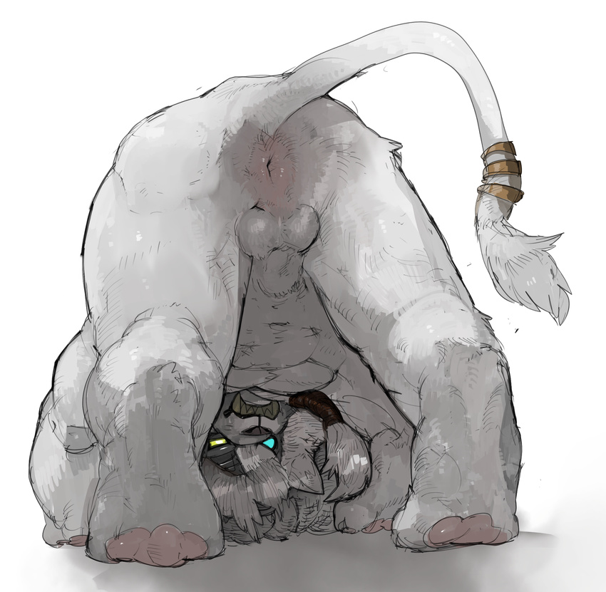 anatomically_correct anatomically_correct_anus animal_genitalia anthro anus ass_up backsack ball balls bent_over blue_eyes butt digitigrade empty_eyes eye_patch eyewear fangs feline fully_sheathed fur grey_nose hairband hi_res league_of_legends lion liteu looking_through_legs male mammal nude pawpads rengar_(lol) riot_games sheath simple_background solo tail_ring tail_tuft teeth tuft video_games white_background white_fur yellow_eyes