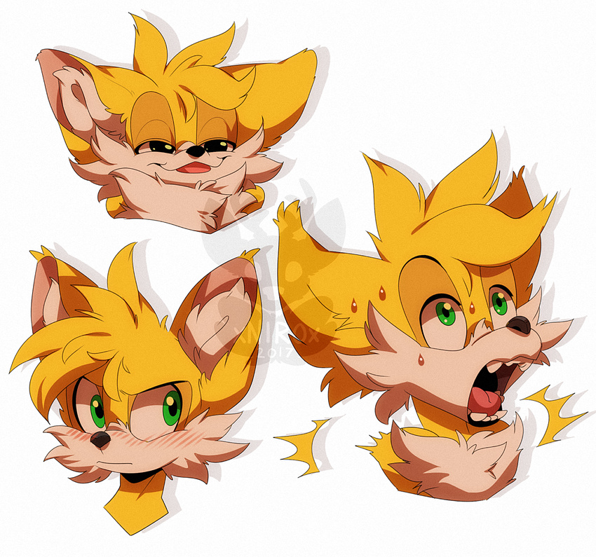 angry annoyed blonde_hair blush canine cute fox fur green_eyes hair happy male mammal miles_prower multicolored_fur scared sonic_(series) sweat sweatdrop two_tone_fur watermark white_fur xnirox yellow_fur young