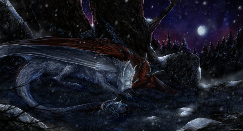 ambiguous_gender claws detailed_background dragon eyes_closed feral fur furred_dragon grass group horn isvoc membranous_wings moon night outside red_scales rock scales scalie sky star starry_sky tree western_dragon white_fur wings young