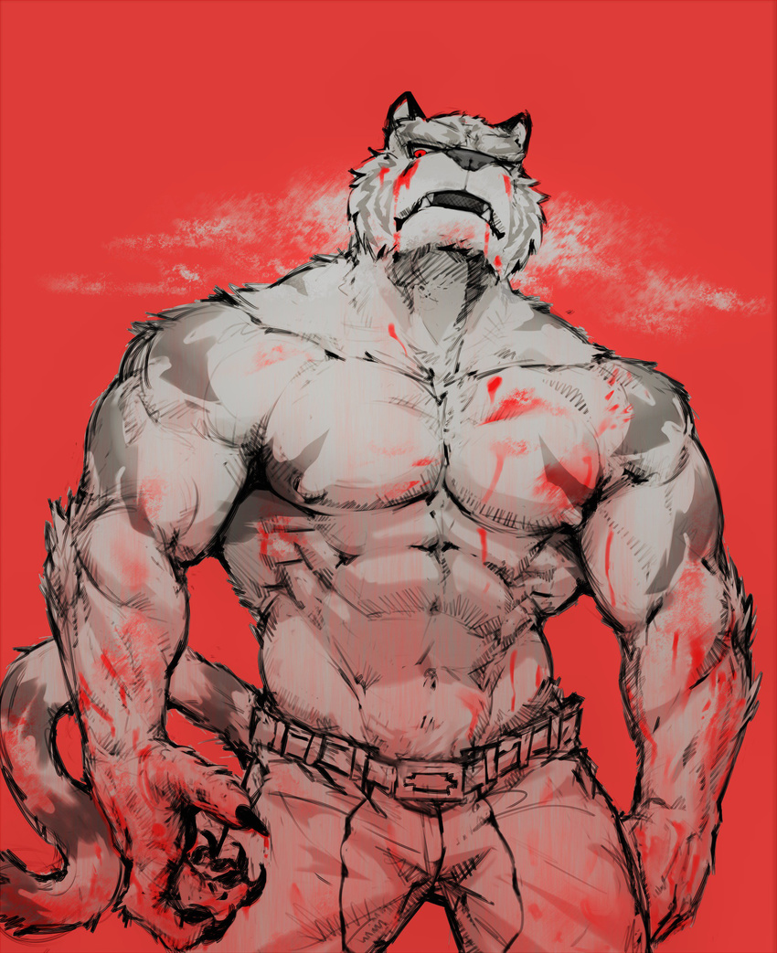 5_fingers abs absurd_res anthro belt biceps big_muscles black_claws blood blood_on_hand claws clothed clothing digital_media_(artwork) dustyangart fangs feline front_view fur grey_fur hi_res looking_down male mammal muscular muscular_male nipples open_mouth pants pecs red_background red_eyes sharp_claws simple_background solo standing striped_fur stripes tiger topless white_fur