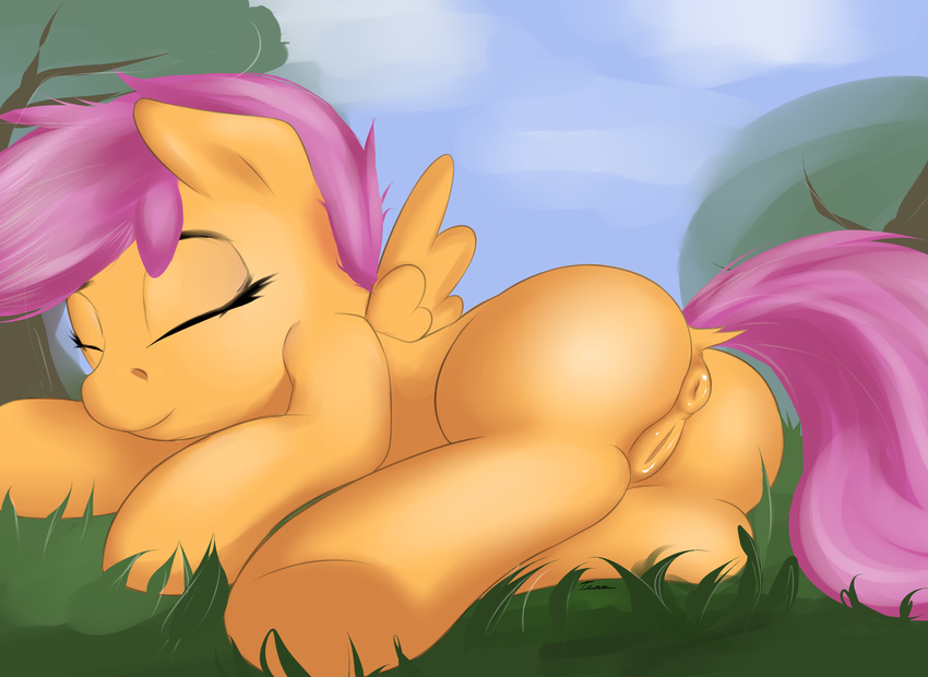 2015 anus butt equine feathered_wings feathers female feral friendship_is_magic mammal my_little_pony orange_feathers pegasus pussy scootaloo_(mlp) solo teta wings young