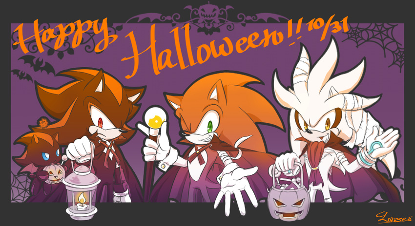 chao character_chao clothing costume dark_chao fur group halloween hedgehog holidays lorese male mammal shadow_chao shadow_the_hedgehog silver_the_hedgehog sonic_(series) sonic_the_hedgehog