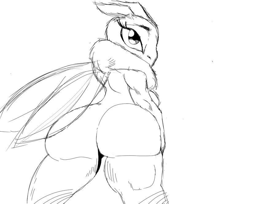 anthro anus arthropod bedroom_eyes big_butt butt eyelashes female half-closed_eyes hi_res insect looking_at_viewer moth pussy rear_view reploid seductive sketch solo wide_hips wings