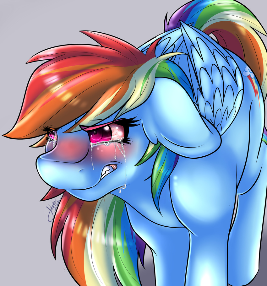 2015 blue_feathers blue_fur blush crying cutie_mark equine feathered_wings feathers female feral friendship_is_magic fur grey_background hair hi_res long_hair mammal mrfatcakes multicolored_hair multicolored_tail my_little_pony pegasus rainbow_dash_(mlp) rainbow_hair rainbow_tail simple_background solo tears wings