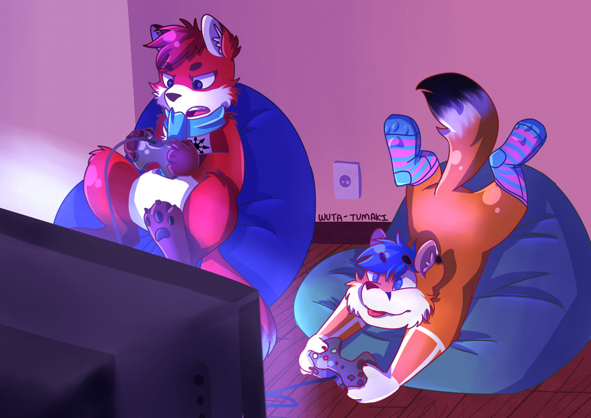 brother canine fox gamer gaming mammal playing rafa shoki shokifoxz sibling wuta-tumaki