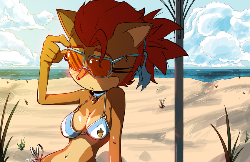 absurd_res acorn beach bikini bloodrike blush breasts brown_fur chipmunk cleavage clothed clothing cloud collar eyelashes eyewear female fur hair hair_tie hi_res mammal navel nut parasol ponytail red_hair rodent sally_acorn sea seaside sky sonic_(series) sunglasses swimsuit water