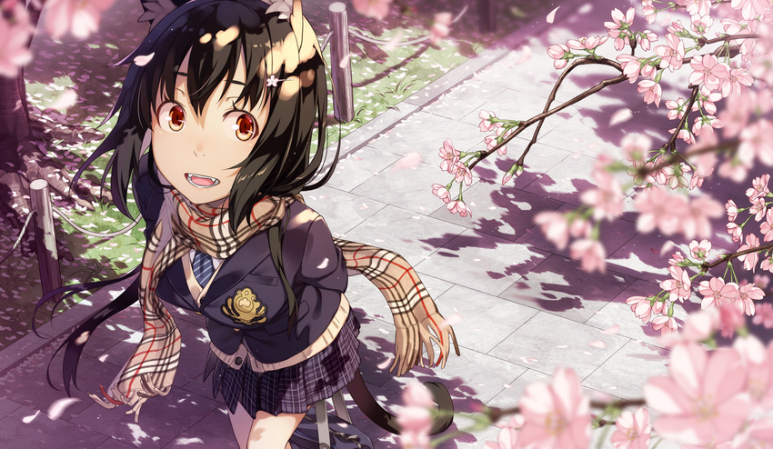 animal_ears black_hair cat_day cat_ears cherry_blossoms highres kimura_(ykimu) original plaid plaid_scarf revision scarf school_uniform short_hair solo