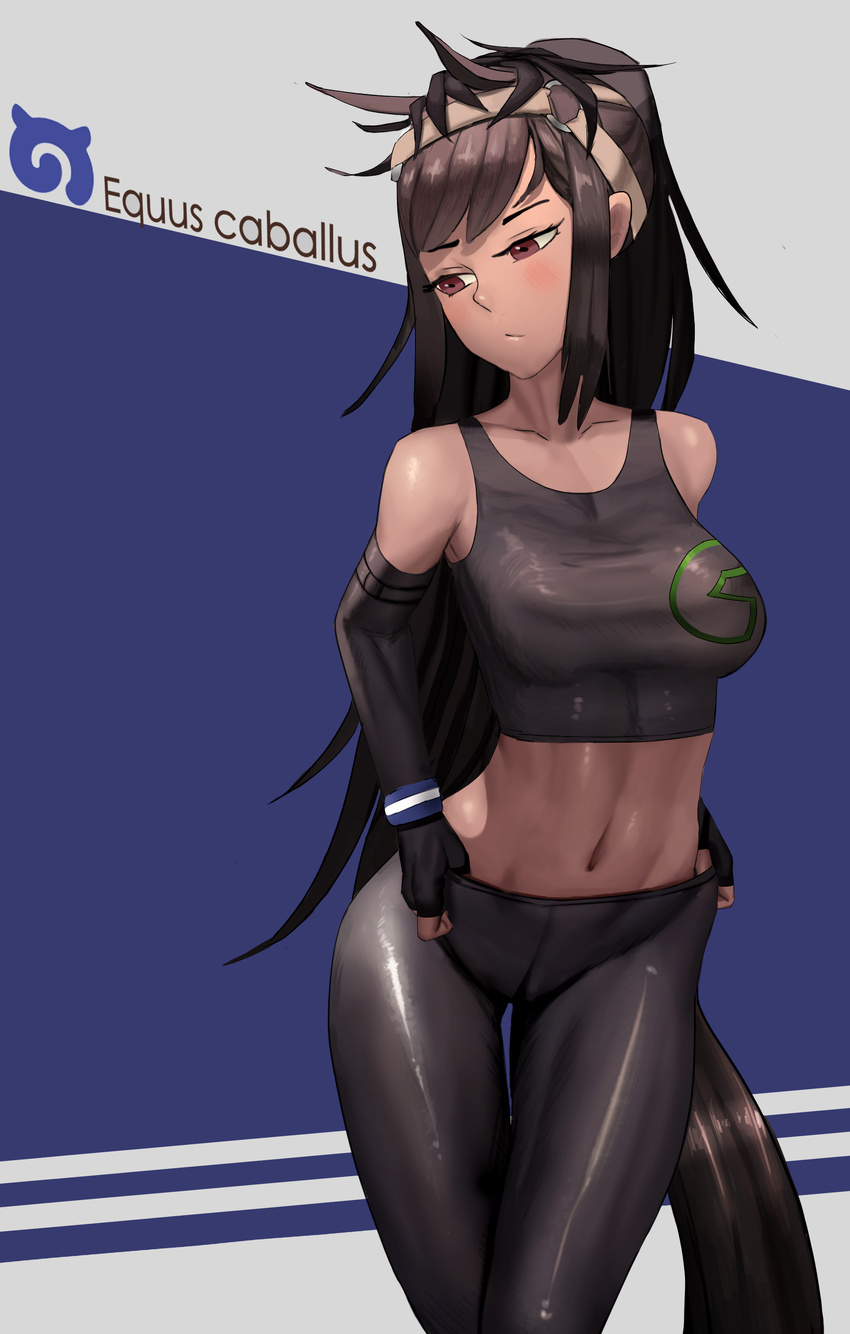 1s44c absurdres adjusting_clothes bad_id bad_pixiv_id bangs bare_shoulders black_gloves black_pants blush breasts brown_hair brown_thoroughbred_(kemono_friends) closed_mouth collarbone cowboy_shot dark_skin elbow_gloves expressionless fingerless_gloves gloves headband highres horse_tail japari_symbol kemono_friends latin long_hair looking_to_the_side medium_breasts navel pants pantyhose red_eyes shiny shiny_clothes sleeveless solo standing stomach sweatband swept_bangs tail tank_top thigh_gap tight tight_pants tsurime two-tone_background