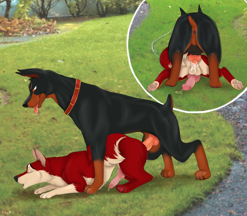 absurd_res anal anal_penetration anatomically_correct anatomically_correct_penis animal_genitalia animal_penis anus balls black_nose butt canid canine canine_penis canis collar cum cum_on_balls cutaway doberman domestic_dog duo erection eyes_closed feral feral_on_feral fur hi_res kaviki klaus knot male male/male male_penetrated male_penetration mammal multicolored_fur nude outside pawpads paws penetration penis photo_background quadruped sex tongue tongue_out two_tone_fur