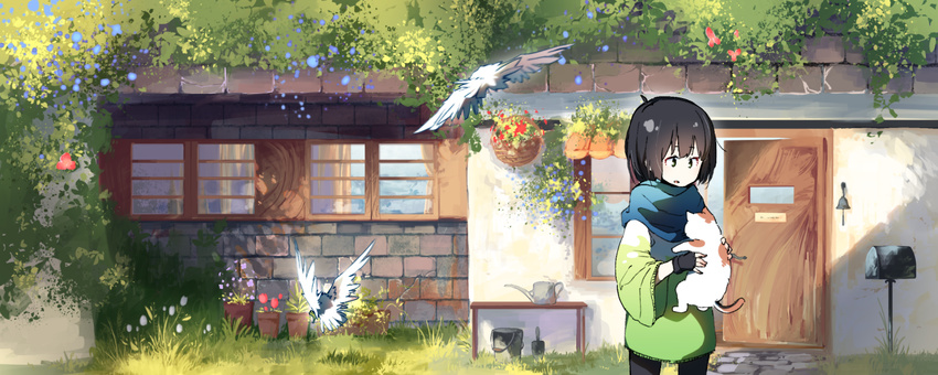 bell bird black_gloves black_hair blue_scarf bucket cat day fingerless_gloves flower gloves grass holding holding_cat house jinsuono_shenqi mailbox_(incoming_mail) open_door original outdoors plant potted_plant scarf scenery solo watering_can wide_sleeves window