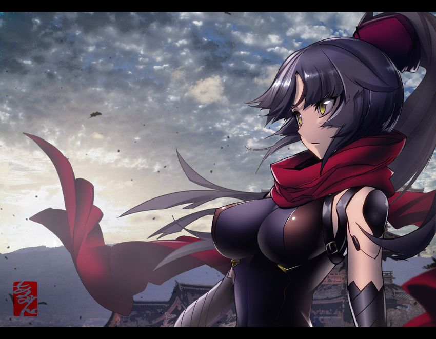 arikanrobo black_border black_hair border breasts closed_mouth cloud cloudy_sky commentary_request fate/grand_order fate_(series) from_side katou_danzou_(fate/grand_order) long_hair looking_away medium_breasts ponytail profile red_scarf robot_joints scarf serious signature sky solo upper_body yellow_eyes