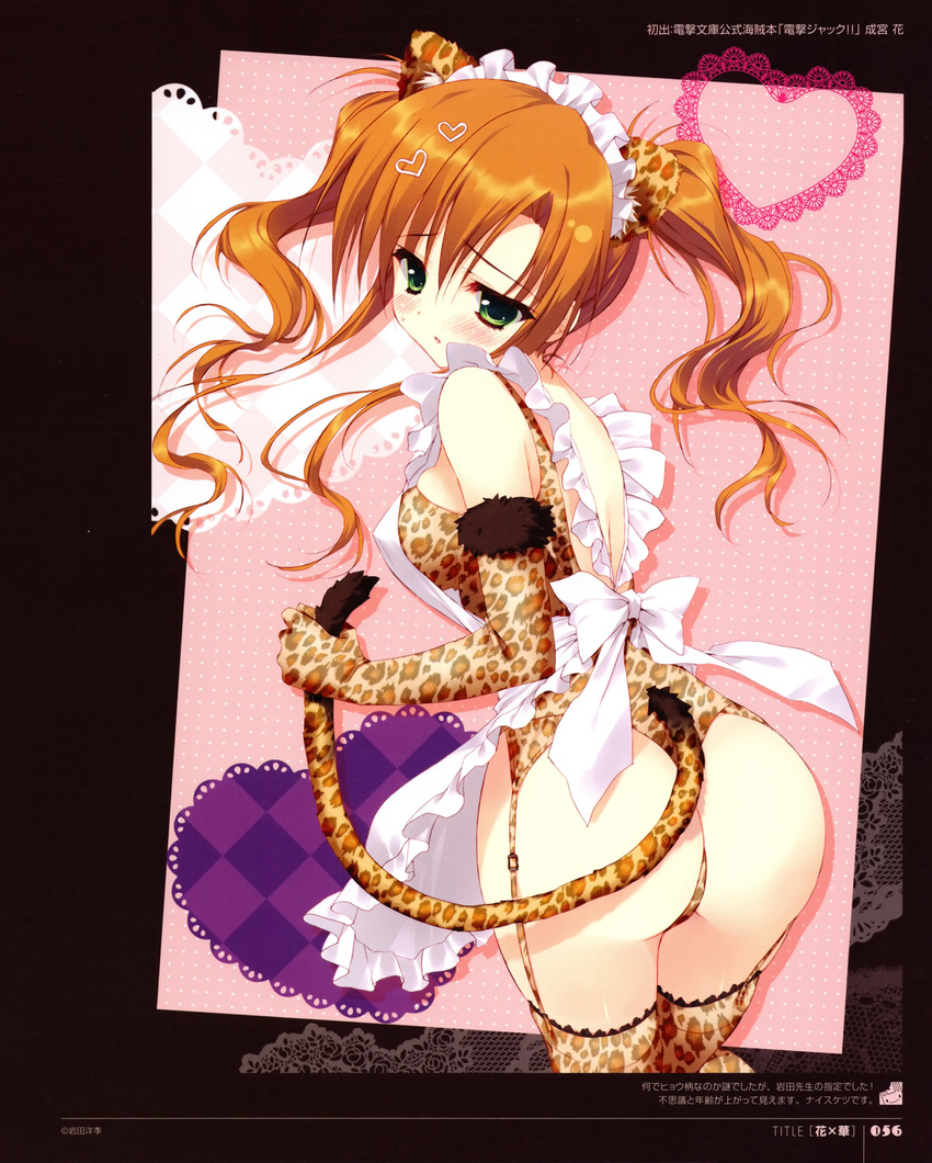 animal_ears ass hana_x_hana leotard maid ryohka stockings tail thighhighs