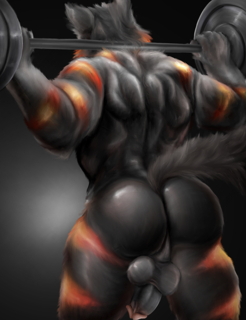 2017 anthro balls behind_view biceps black_background black_fur butt_muscles canine erection exercise fur humanoid_penis killianwalker male mammal multicolored_fur muscular muscular_male nude penis red_fur simple_background solo standing stripes weightlifter weightlifting weights were werewolf wolf workout