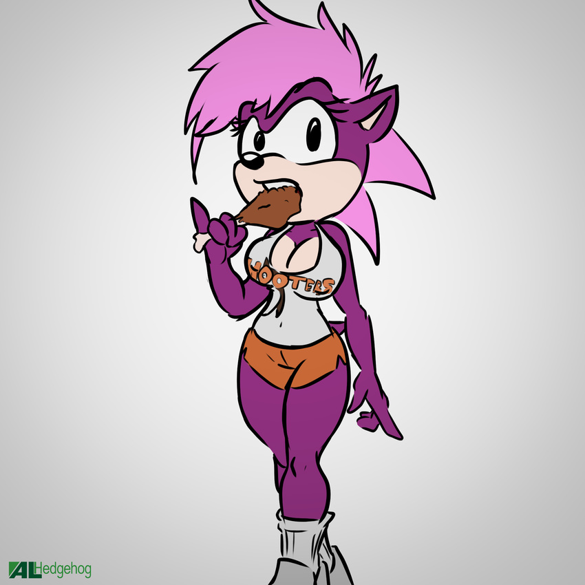 alhedgehog chicken_leg clothing female hedgehog hooters hot_pants mammal shorts solo sonia_the_hedgehog sonic_(series) sonic_underground tight_clothing tight_outfit toony video_games