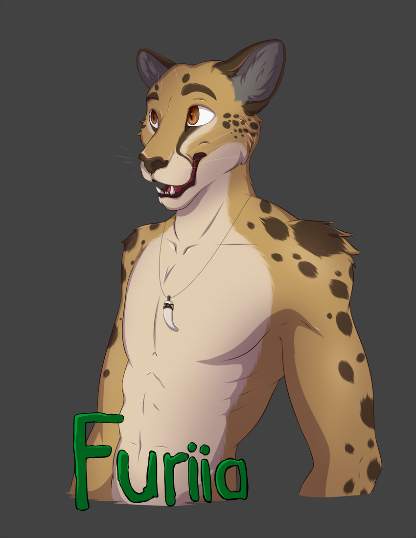 anthro badge cheetah clothed clothing digital_media_(artwork) feline furiia male mammal smile solo topless wolfpsalm