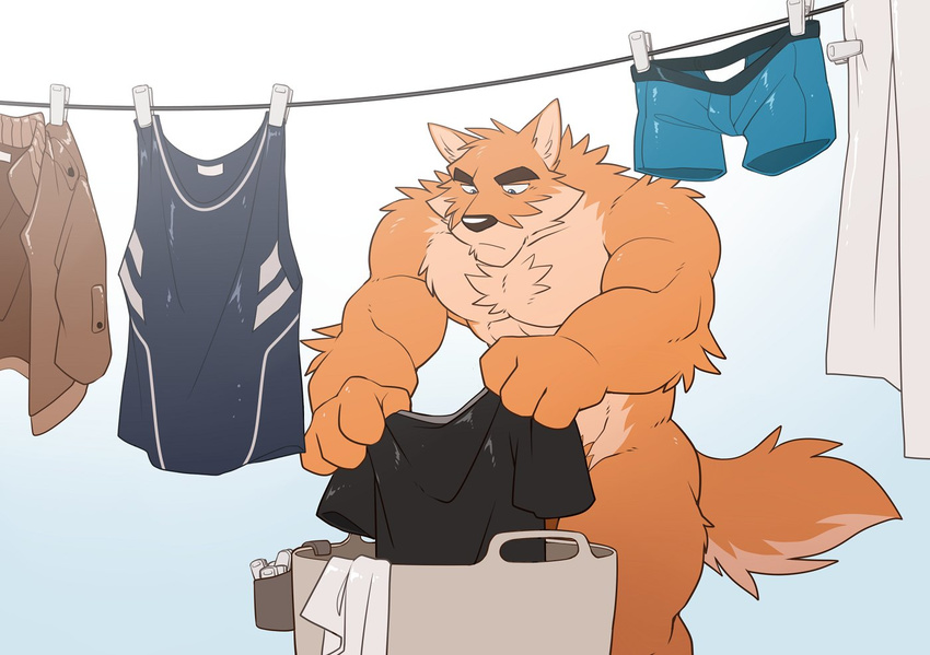 2017 abs anthro biceps big_muscles black_nose blue_eyes boxers_(clothing) brown_fur canine chest_tuft clothing digital_media_(artwork) dog duo fur jacket laundry male mammal muscular muscular_male nude otake pecs shirt simple_background solo standing takemoto_arashi tan_fur tank_top triceps tuft underwear