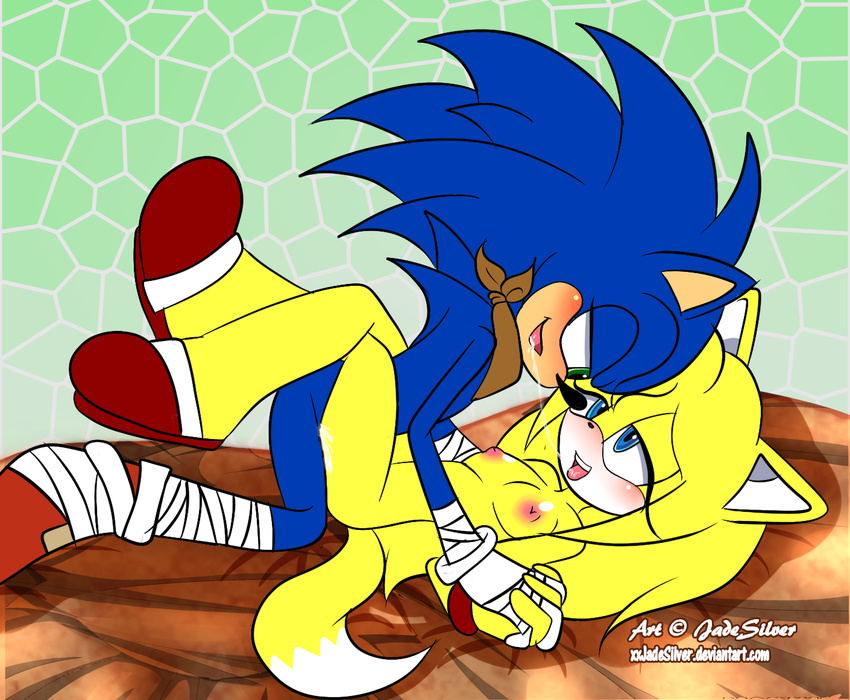 ambiguous_penetration blush breasts canine eye_contact female fox hand_holding hedgehog invalid_tag leg_wrap lying male mammal missionary_position nude on_back penetration sex sonic_(series) sonic_the_hedgehog yeidsil zooey_the_fox